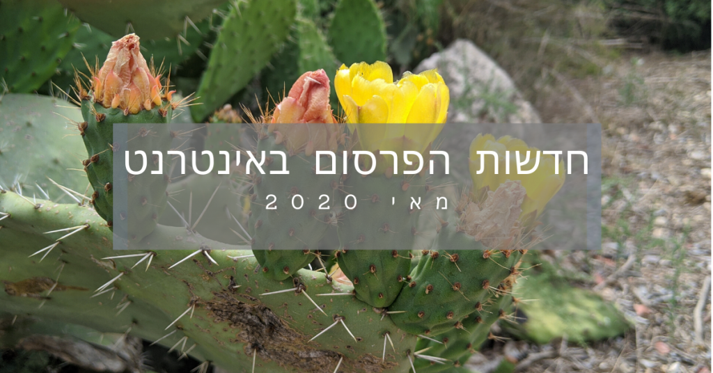 חדשות הפרסום באינטרנט